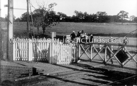 The Railway Crossing, Theydon Bois, Essex. c.1905